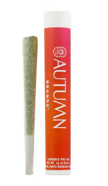 Autumn Brands - Autumn Brands Preroll 1g G-Runtz Main Image