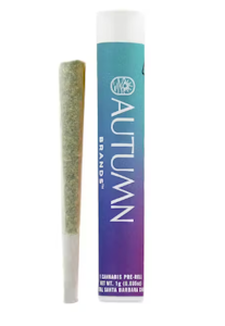 AUTUMN BRANDS - Autumn Brands 1g Preroll Purple Carbonite