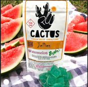 Watermelon Tajin Jellies - 100mg