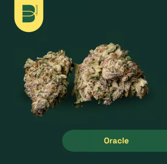The Botanist - The Botanist | Flower | Oracle | 3.5g Main Image