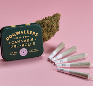 Dogwalkers | Afternoon Delight #4 Mini Pre-Rolls | 5pk/1.75g