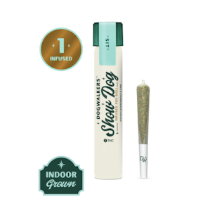 Dogwalkers | Infused Big Dogs | Regina George | 1g