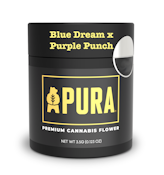  Pura - Flower 3.5g - Blue Dream x Purple Punch - Hybrid