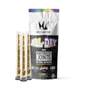 All Day Pack - Indoor - Multi Prerolls - 3pk - 3g