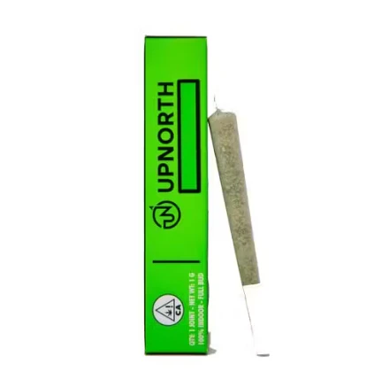UpNorth - UpNorth - GG4 - 1g Pre-Roll Main Image