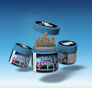 TRADITIONAL 3.5G Spray Paint Indoor Flower