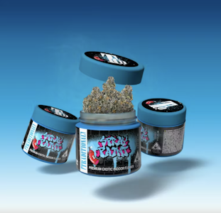 TRADITIONAL - TRADITIONAL 3.5G Spray Paint Indoor Flower