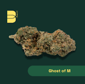 GHOST OF M - 14G - THE BOTANIST