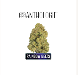 ANTHOLOGIE - Rainbow Belts 3.0 3.5g