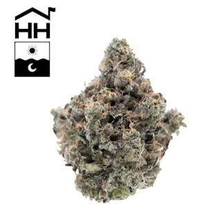 Harbor House - Orange 43 - 3.5g - Harbor House