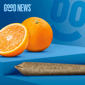 GOOD NEWS - Good News | Infused Preroll | Brunch Orange | 1g