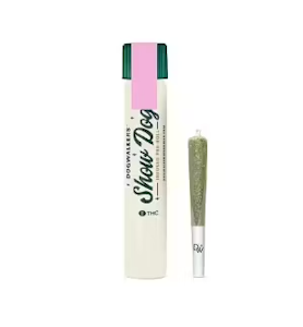 DOGWALKERS - Regina George (Stay) Showdog 1g Infused Preroll
