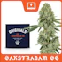 Product Preview Image 1