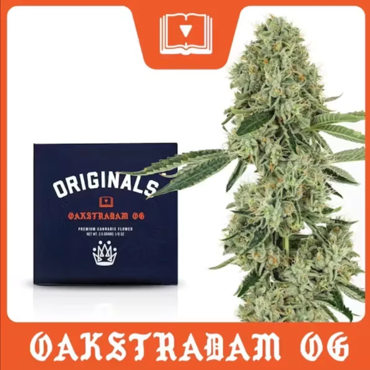 Orange Cannabis Company - Oakstradam OG - 3.5g - Orange Cannabis Company Main Image