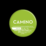 Camino Sparkling Pear CBD "Social"