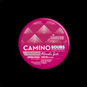 Camino Sours 10mg Watermelon Spritz "Uplifting" 