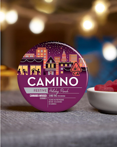 CAMINO - Camino - 'Festive' Holiday Punch - 100mg Gummies - 20pk