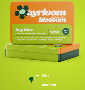 AYRLOOM - Key Lime infused pre-rolls | .6g, 5pack