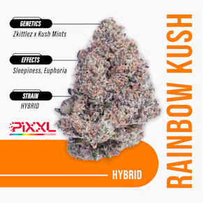 PIXXL - Rainbow Kush - Eighth