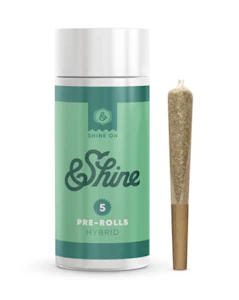 &SHINE - &shine | OMG | 5pk/2.5g
