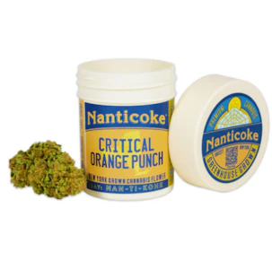 NANTICOKE - Nanticoke | Flower | Critical Orange Punch | 3.5g