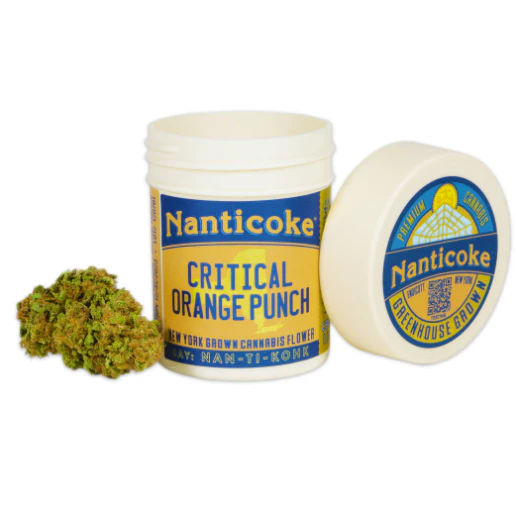 Nanticoke - Nanticoke | Flower | Critical Orange Punch | 3.5g Main Image