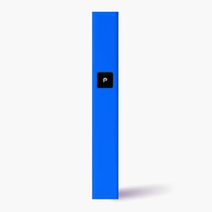 PLUGPLAY - PLUGPLAY Blue Steel Battery Kit