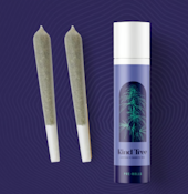 Glitter Bomb 2pk/1g Prerolls