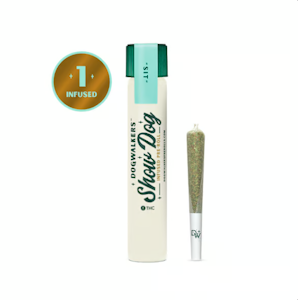 DOGWALKERS - Dogwalkers | Infused Preroll | Animal Scout | 1g