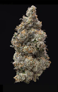 IMPRESSED - Bananaconda *30% TAC* | 3.5g | TAXES INCLUDED