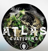 Atlas Cultivars | Platinum Punch | 1G