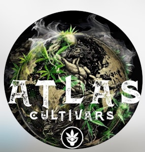 Atlas Cultivars - Atlas Cultivars | Lemon Sorbetto | 1G