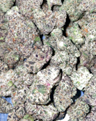 GLP-PREMIUM Whiplash#1-1g 