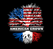 American Grown- Deep Fried Ice Cream Ounce $79