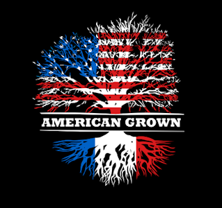 AMERICAN GROWN - American Grown- Deep Fried Ice Cream Ounce $79