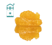 Orange 43 - 1g Sugar - Harbor House