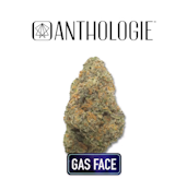 Anthologie Gas Face 3.5g