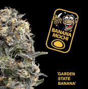 Garden State Banana | Banana Mochi | 3.5g