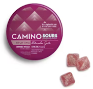 Camino Sours | Watermelon Spritz | 10pk/100mg