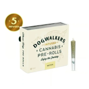 East Coast Sour Diesel (Play) Showdogs 5pk/2.25g Infused Prerolls