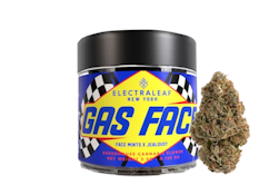 GAS FACE 3.5- ELECTRALEAF