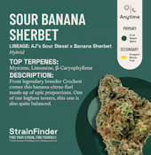 SOUR BANANA SHERBERT FLOWER - BOTANIST - 3.5g