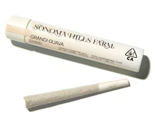 Sonoma Hills Farm | Grandi Guava | Sungrown Pre-Roll | 1g
