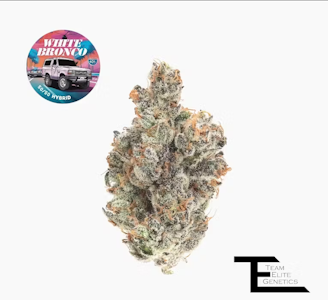 TEAM ELITE GENETICS - Team Elite Genetics - White Bronco - 3.5g Flower