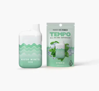 Tempo - TEMPO 1G Kush Mints Ice Disposable