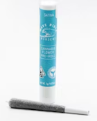 Wave Rider - Fruit Punch - Preroll - 1G