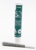 Wave Rider - Apple Fritter - Preroll - 1G