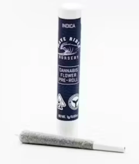 Wave Rider - Wave Rider - Blueberry Pancakes - Preroll - 1G Main Image