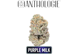 Anthologie Purple Milk 3.5g