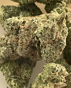 Green Leef Pharms - GLP-GorillaCream-3.5gprepack